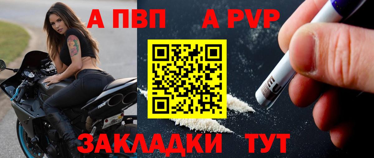 Alfa_PVP СК КРИС Щёлково
