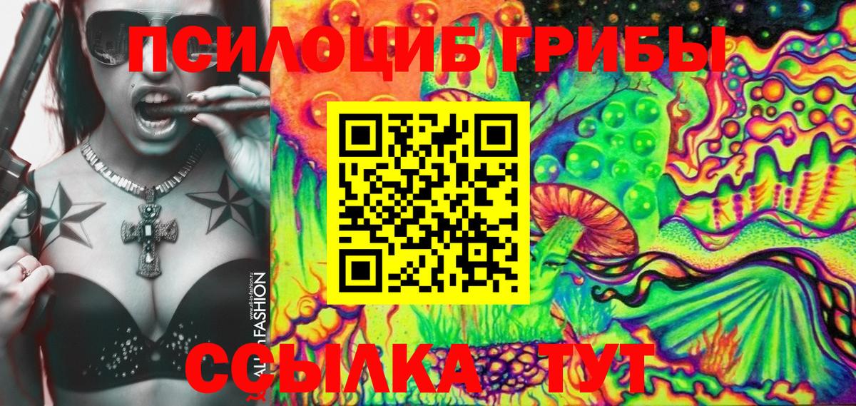 Псилоцибиновые грибы Psilocybe Щёлково